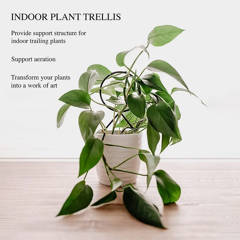 Estante trepador de plantas, enrejado de plantas, soporte para plantas de jardín, soporte de estaca, crecimiento de vid de Metal, estante trepador de flores de ratán, suministros de jardín