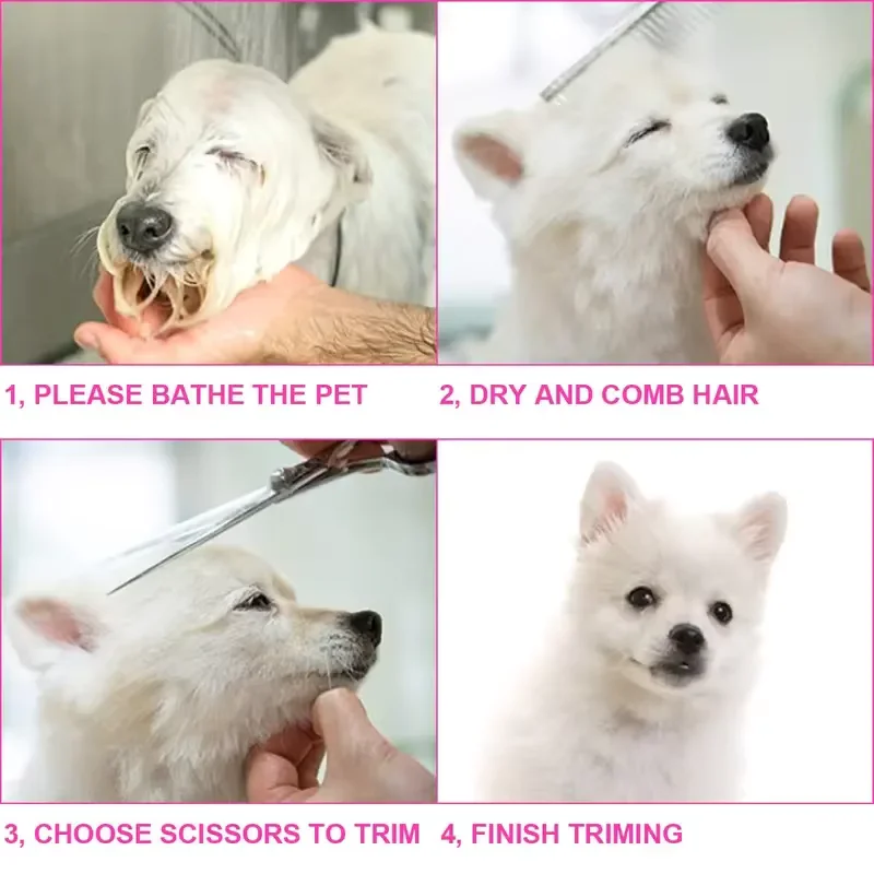 Tijeras profesionales seguras y precisas para el cuidado de mascotas con cabeza redonda, tijeras de pelo para perros de acero inoxidable para recortar sin esfuerzo
