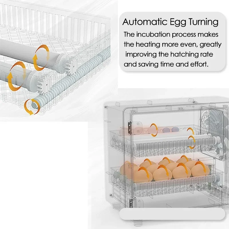Incubadora de 24 huevos, máquina de incubación de granja con Control de temperatura táctil completamente automático, incubadora de huevos para pollos, patos y codornices