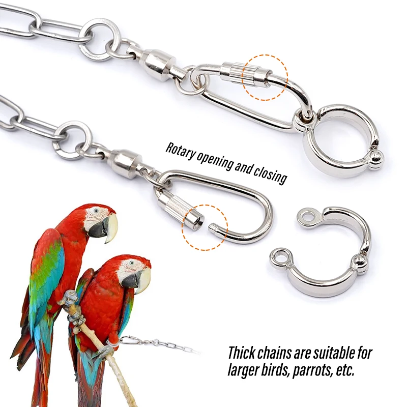 Cadena para pie de loro y pájaro, anillo para tobillo y pie de acero inoxidable, cadena de soporte para entrenamiento de vuelo al aire libre, accesorios para pájaros y palomas