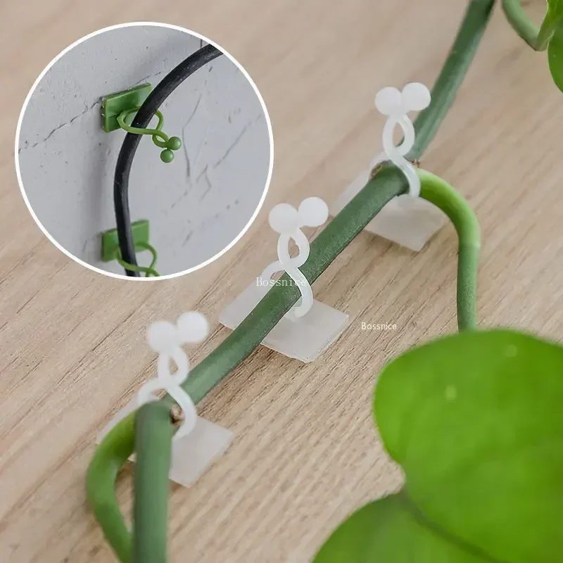 Clips de pared para trepar plantas de 20 piezas, gancho de hebilla de vid, fijador de abrazadera de ratán, Stent de planta autoadhesivo, enredadera Invisible fija para trepar