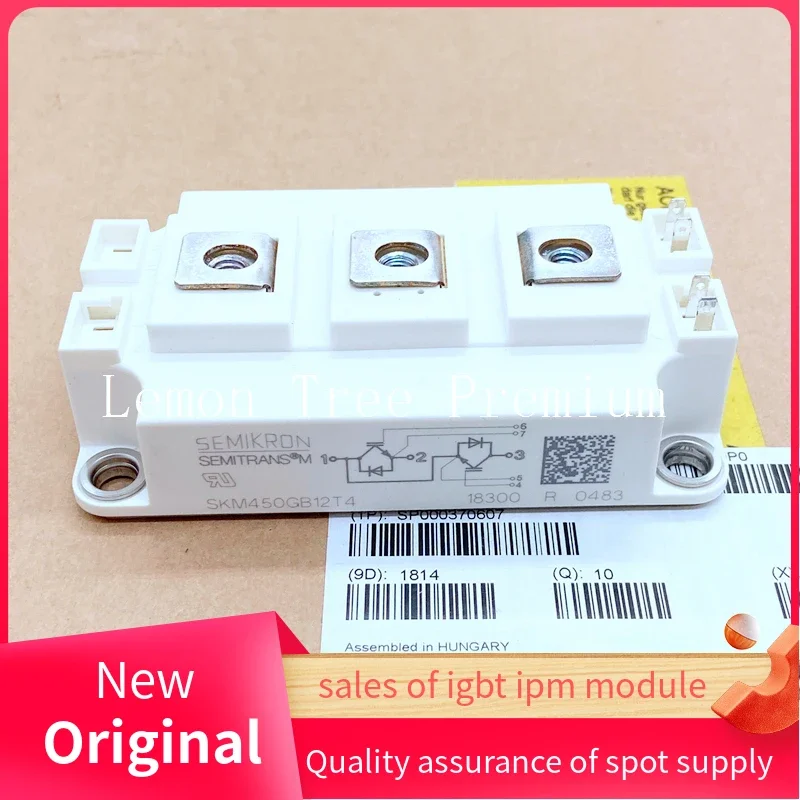 SKM200GB12T4 SKM200GB17E4 SKM400GB12T4 Módulo IGBT Nuevo Original