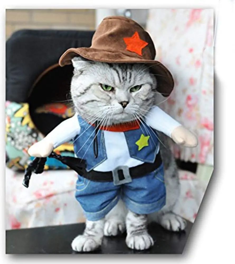 Divertido disfraz de Halloween para perros y gatos, ropa de vaquero para perros, disfraces para perros pequeños, accesorios para Cosplay de gatos