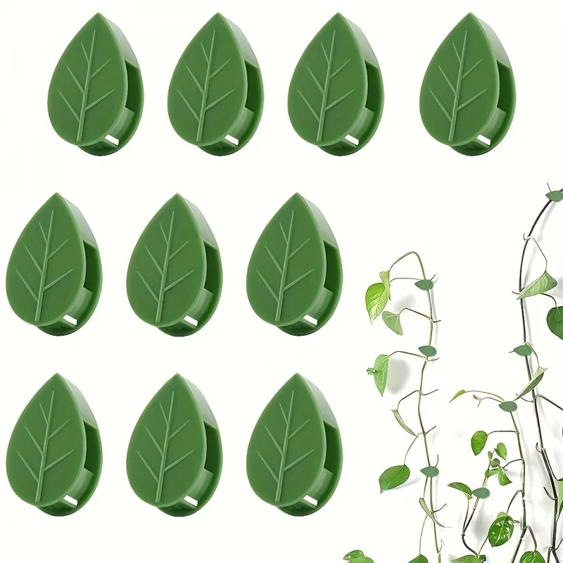 Gancho de fijación autoadhesivo para plantas trepadoras, 10 piezas, Clip de fijación de plantas adhesivas para enredaderas Pothos de jardín