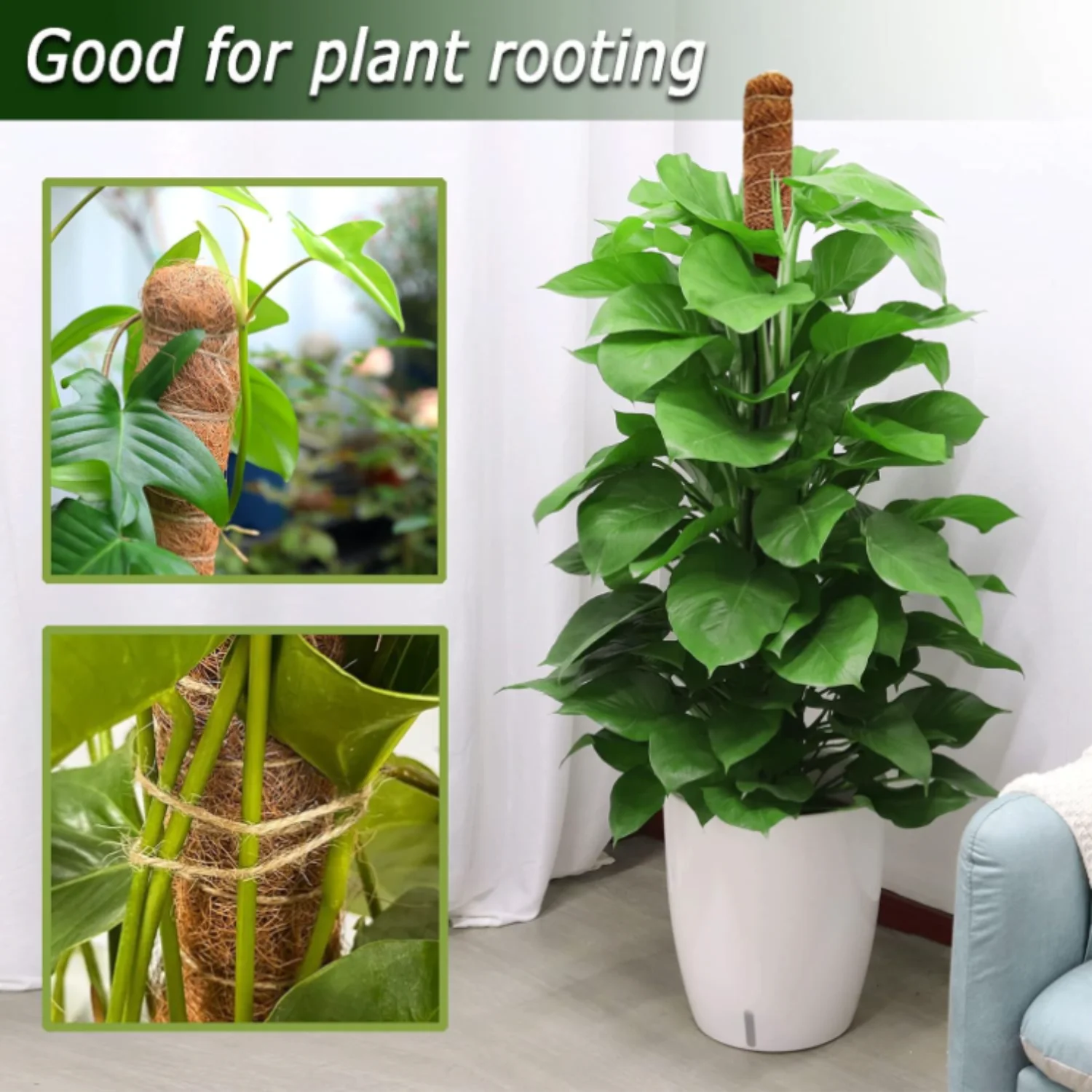 Soporte de plantas Monstera con poste de musgo flexible de 30-100cm para plantas trepadoras de interior, palo de enredaderas de palma de extensión, soporte para plantas trepadoras