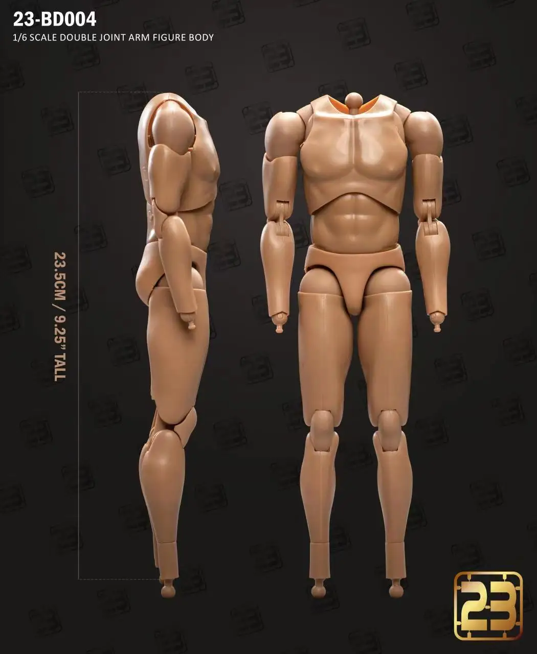 23TOYS 23-BD001 BD003 1/6 soldado masculino cuerpo articulado muscular estándar 23,5 cm - 27,5 cm figura de acción de soldado masculino cuerpo articulado
