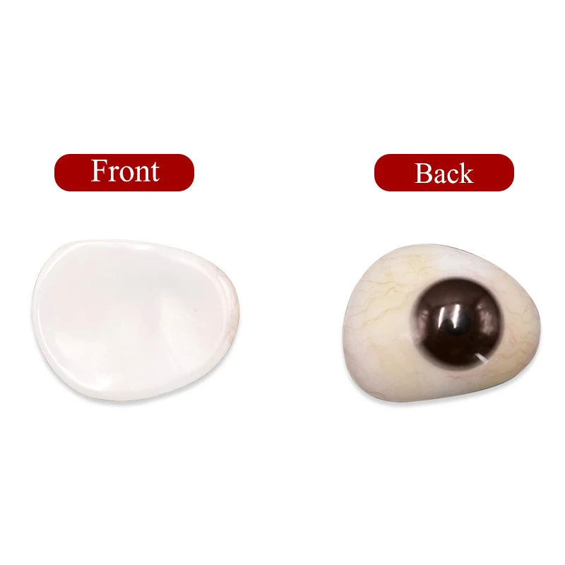 Prótesis ocular de resina para ojos discapacitados después de la eliminación de la atrofia del globo ocular con prótesis ocular artificial