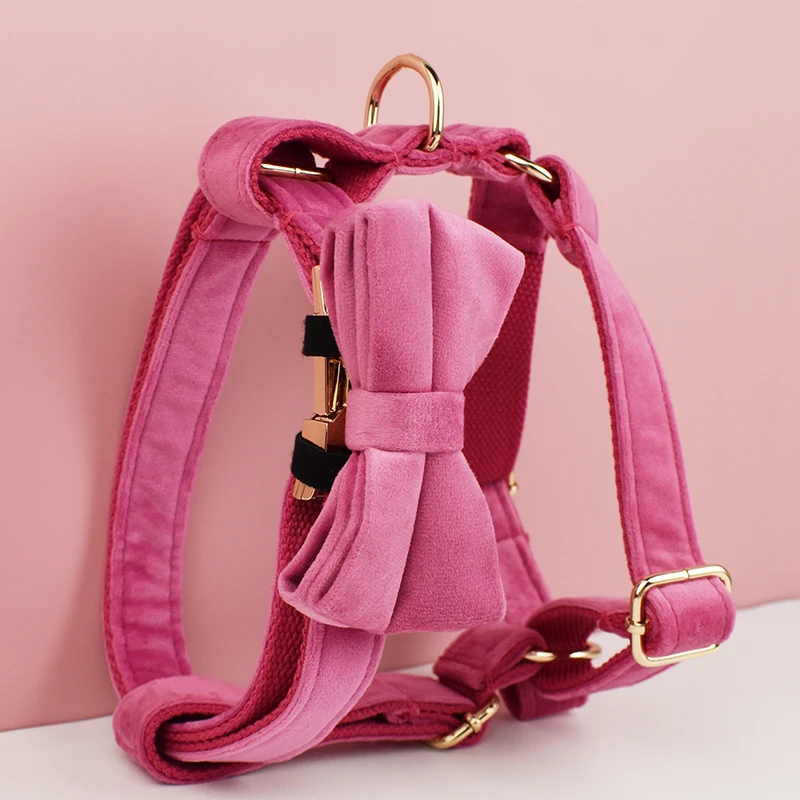 Conjunto de collar y correa para perros de terciopelo rojo rosa, placa con nombre grabada personalizada, suministros para mascotas, correa para perros Velvet23