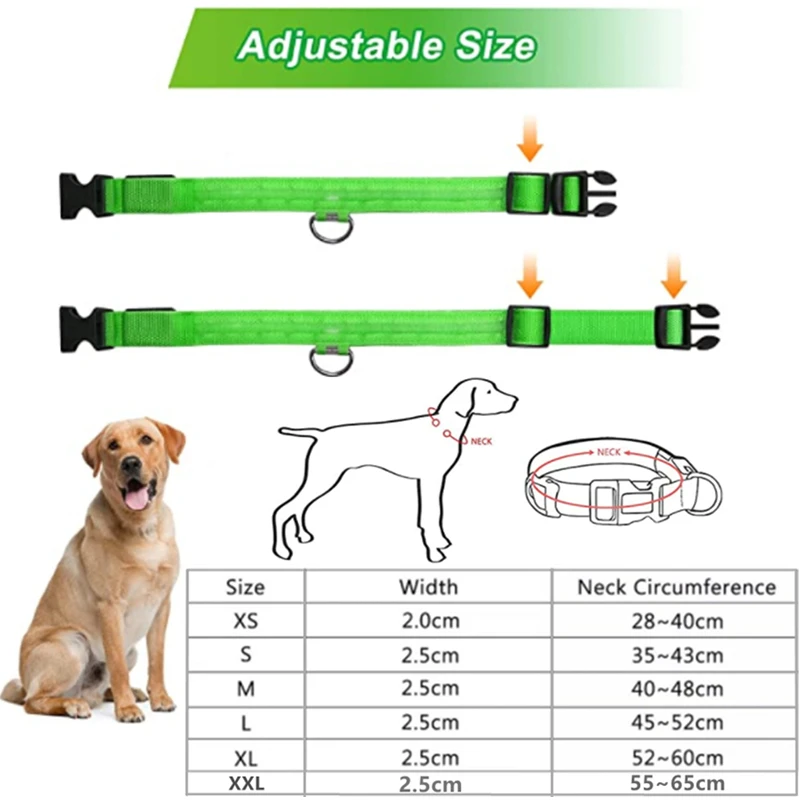 Collar luminoso LED, Collar brillante ajustable para perro, recargable por USB, intermitente, antipérdida/a evita accidentes del coche, productos para perros y mascotas