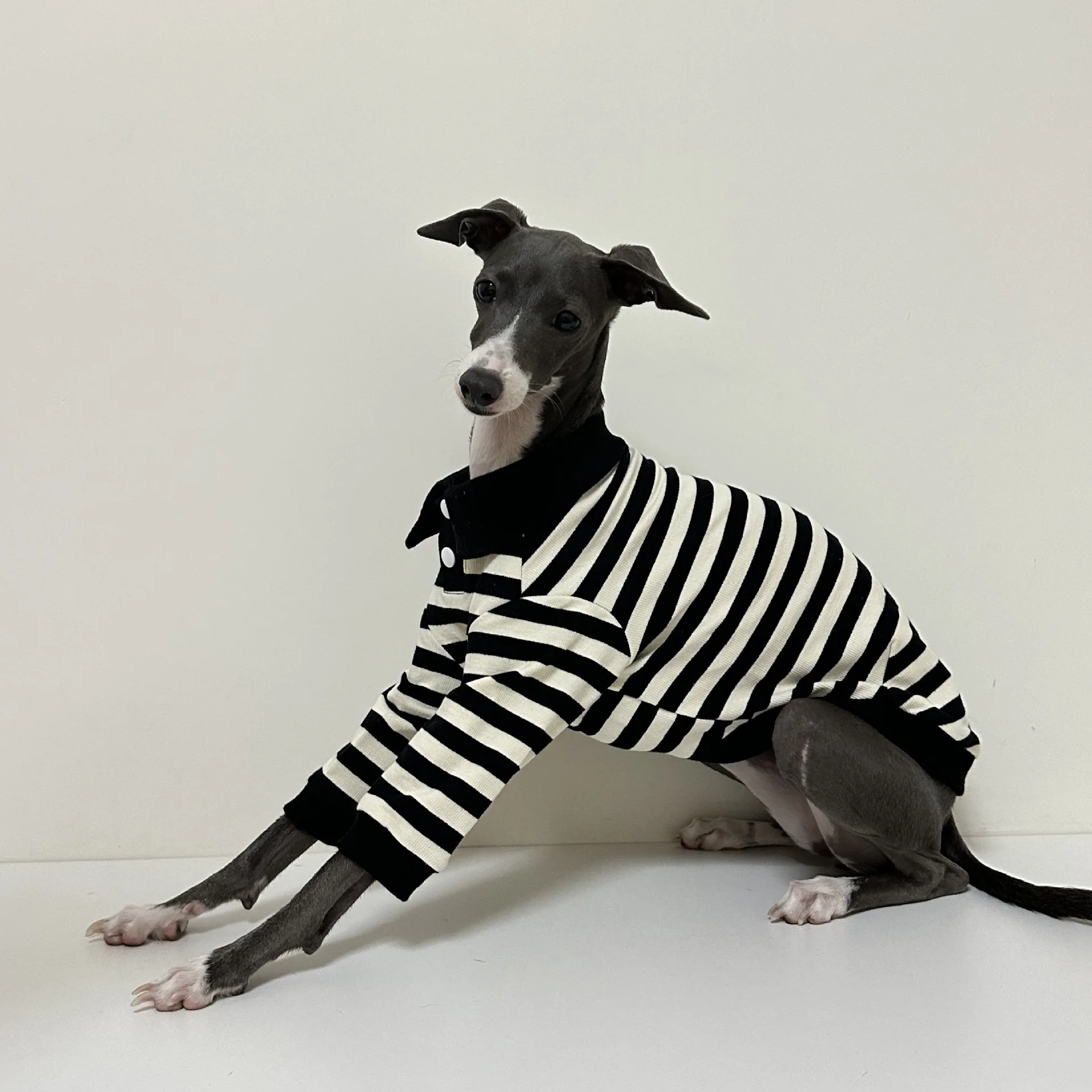 Camisa POLO de algodón puro de otoño e invierno con buena elasticidad ropa para perros galgo italiano Whippet Bedlington Terrier