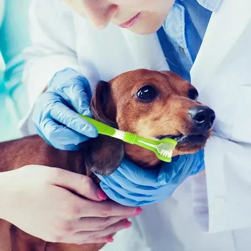 Cepillo de Dientes para Mascotas de 3 Cabezas, Cepillo de Dientes de Cerdas Suaves para Limpieza Bucal de Perros de Raza Pequeña, Mango de Fácil Agarre, Suave con las Encías, Reduce la Placa
