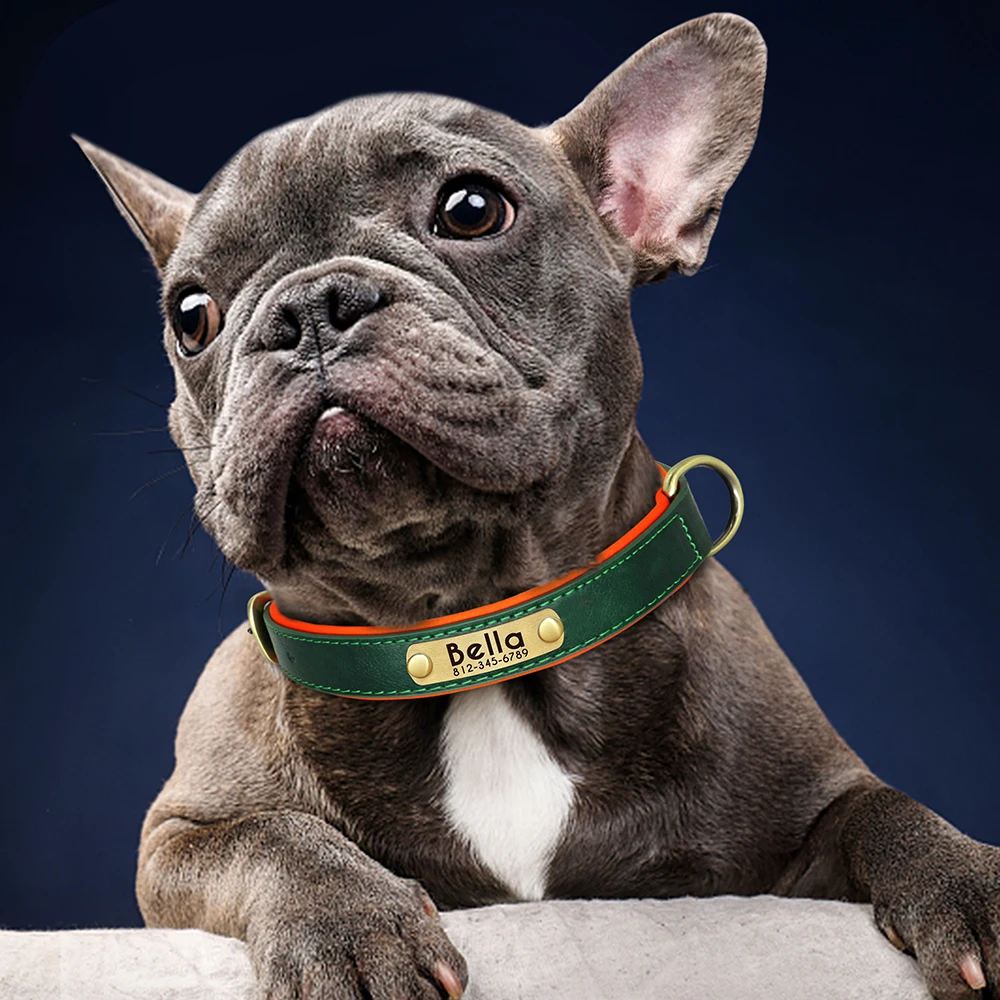 Collar de perro con placa de identificación de cuero PU personalizado, collares para perros acolchados suaves, nombre grabado gratis para perros pequeños, medianos y grandes, ajustable