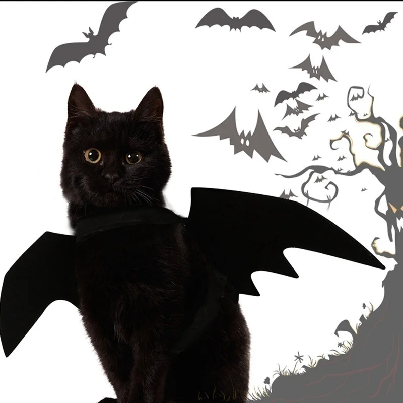 Ropa bonita para mascotas de Halloween, arnés con alas de murciélago negro, disfraz, Cosplay, gato, perro, fiesta de Halloween para suministros para mascotas