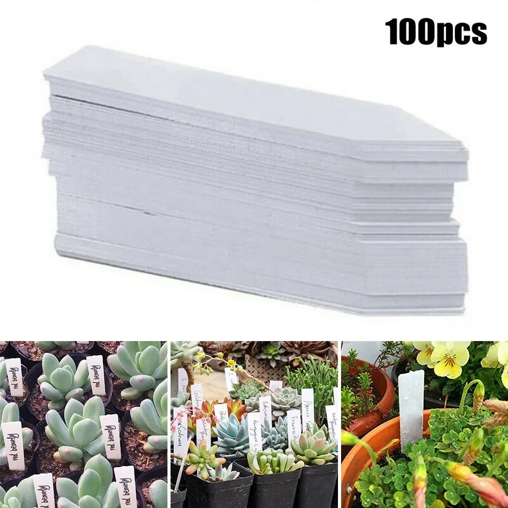 Etiquetas piezas para plantas de jardín, accesorios para plantas, macetas de flores, marcadores de plástico para guardería, etiqueta, bandeja, herramienta de bricolaje, 100