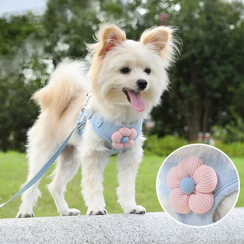 Arnés de Pecho y Espalda para Perros y Gatos con Diseño de Dibujos Animados 3D, Accesorios para Paseo y Protección