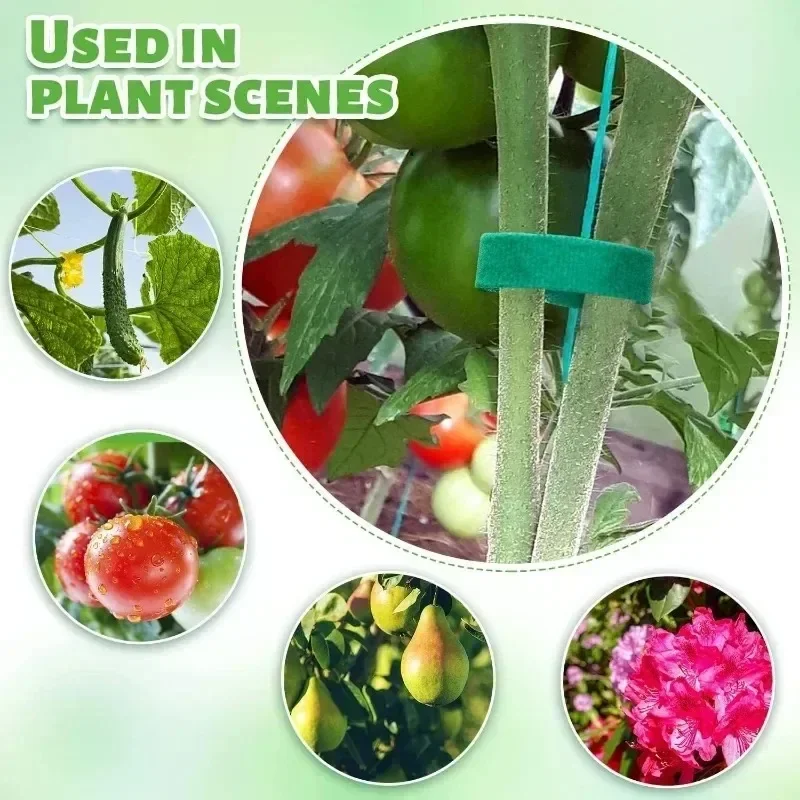 Brida para cables de nailon autoadhesiva, soporte de bucle de gancho ajustable verde para plantas, vendaje de hilo de jardín, tiras de cinta de sujeción reutilizables
