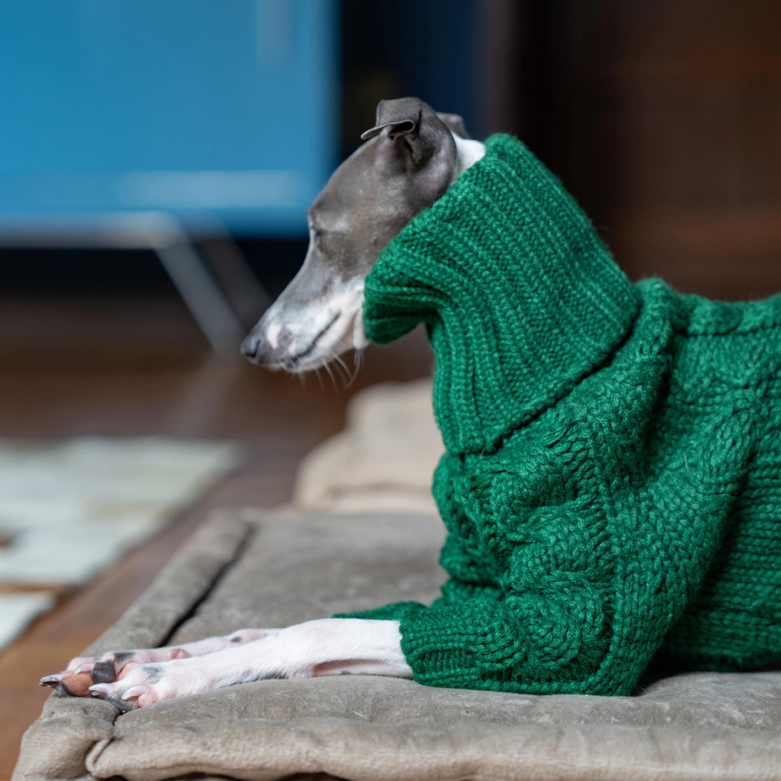 Suéter grueso de cuello alto verde para mascotas, ropa de punto para perros de dos patas, galgo italiano, whippet
