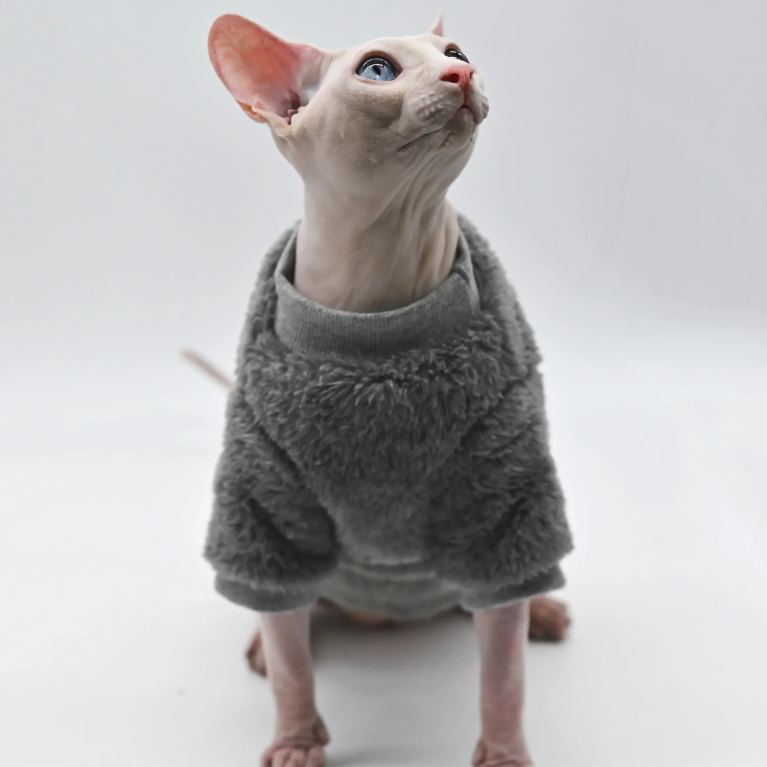 DUOMASUMI-Chaqueta de invierno suave y esponjosa de doble cara, abrigo cálido para gato, ropa gruesa para gato Sphinx Sphynx, trajes para gatos sin pelo