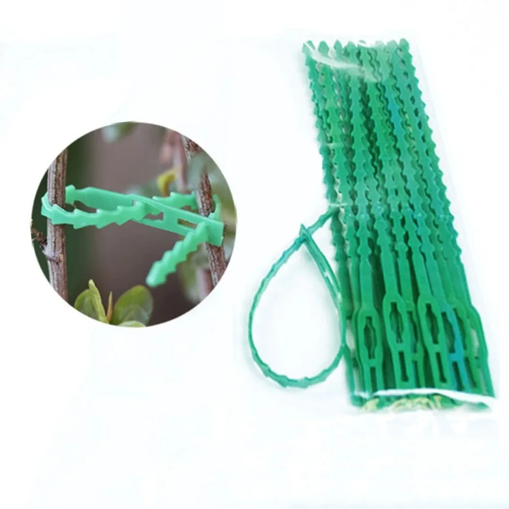 50 unidades de sujetadores de plástico ajustables y reutilizables para plantas, para jardinería, soporte para árboles, plantas trepadoras, tallos de tomate y cinta de sujeción