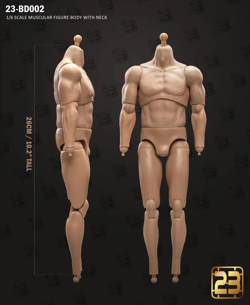23TOYS 23-BD001 BD003 1/6 soldado masculino cuerpo articulado muscular estándar 23,5 cm - 27,5 cm figura de acción de soldado masculino cuerpo articulado
