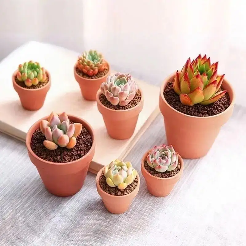 36 Uds Terra Cotta 1,9 pulgadas macetero de cerámica de arcilla macetas de Cactus maceta suculenta con orificio de drenaje-excelente para plantas, manualidades