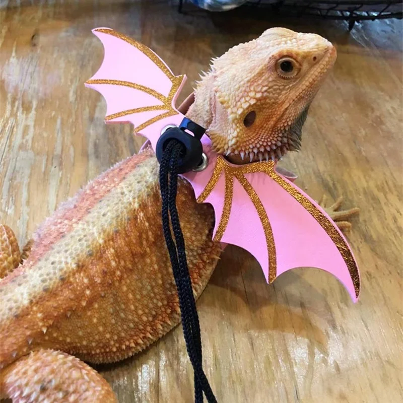 Correa de dragón barbudo ajustable con alas de murciélago, arnés de lagarto de cuero suave para anfibios y otros reptiles pequeños, 3 uds., novedad de 2022