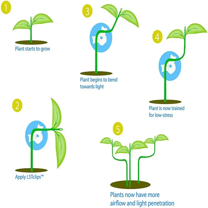 Doblador de ramas de plantas, Clip doblador de plantas ajustable de 360 grados para entrenamiento de plantas de bajo estrés, soporte de jardín, suministros de jardín
