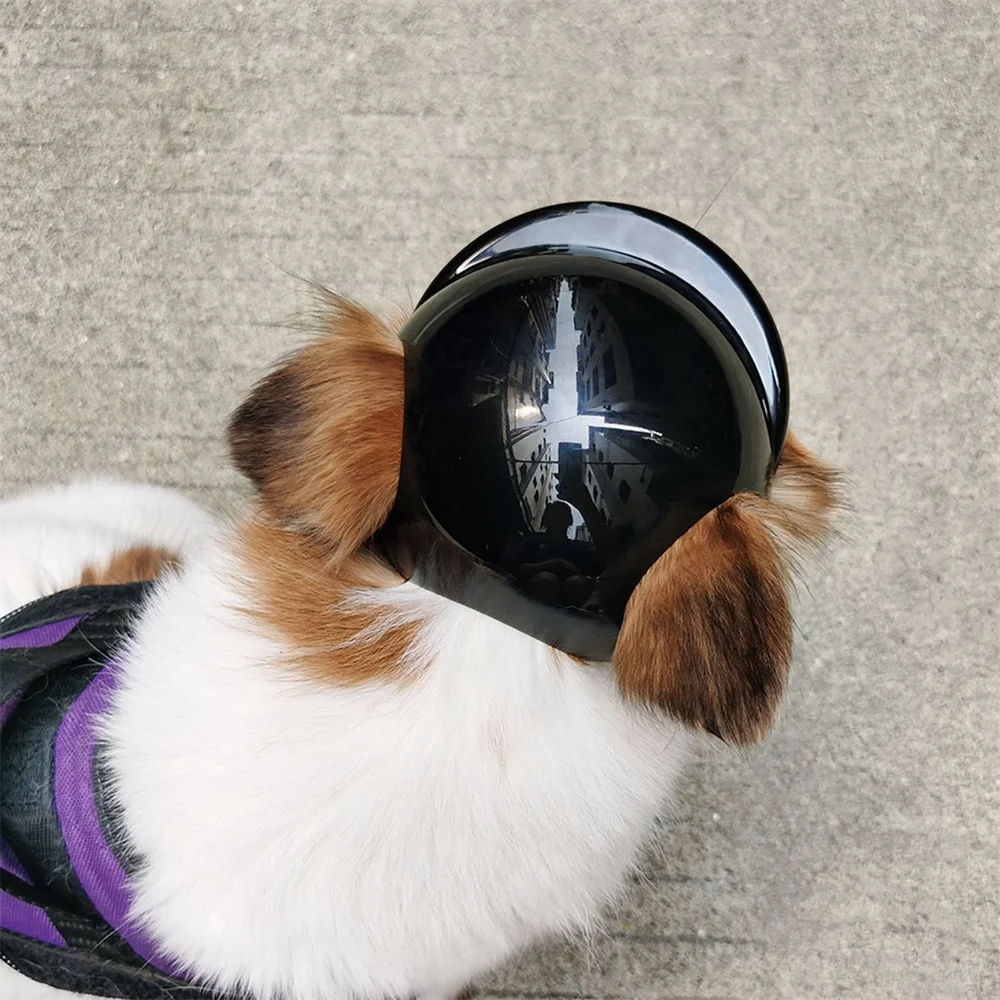 Casco de Motocicleta para Bulldog Francés, Accesorios Elegantes para Perros Pequeños y Medianos, Cachorros, Mascotas, Gorro, Accesorio para la Cabeza