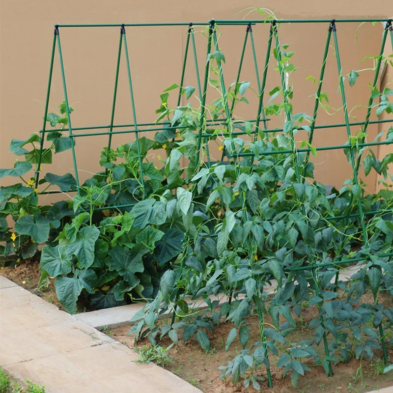 Kit de marco de escalada para plantas y verduras, marco en A para jardín, soportes para cultivo, apto para escalar, enrejado de pepino, tomates y uvas a prueba de herrumbre