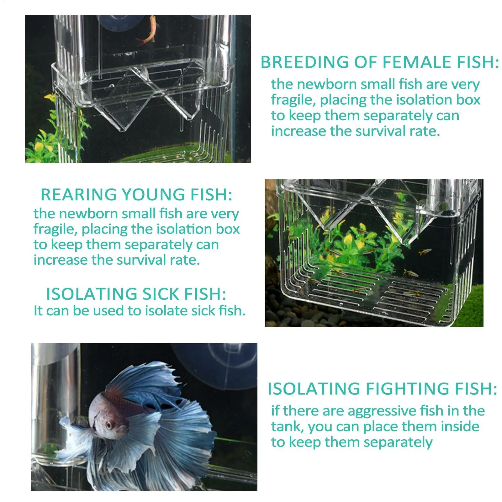 Caja de Aislamiento Acrílica para Acuario, Caja de Cría, Dispositivo de Desparasitación, Incubadora, Divisor de Pecera para Peces Pequeños y Camarones