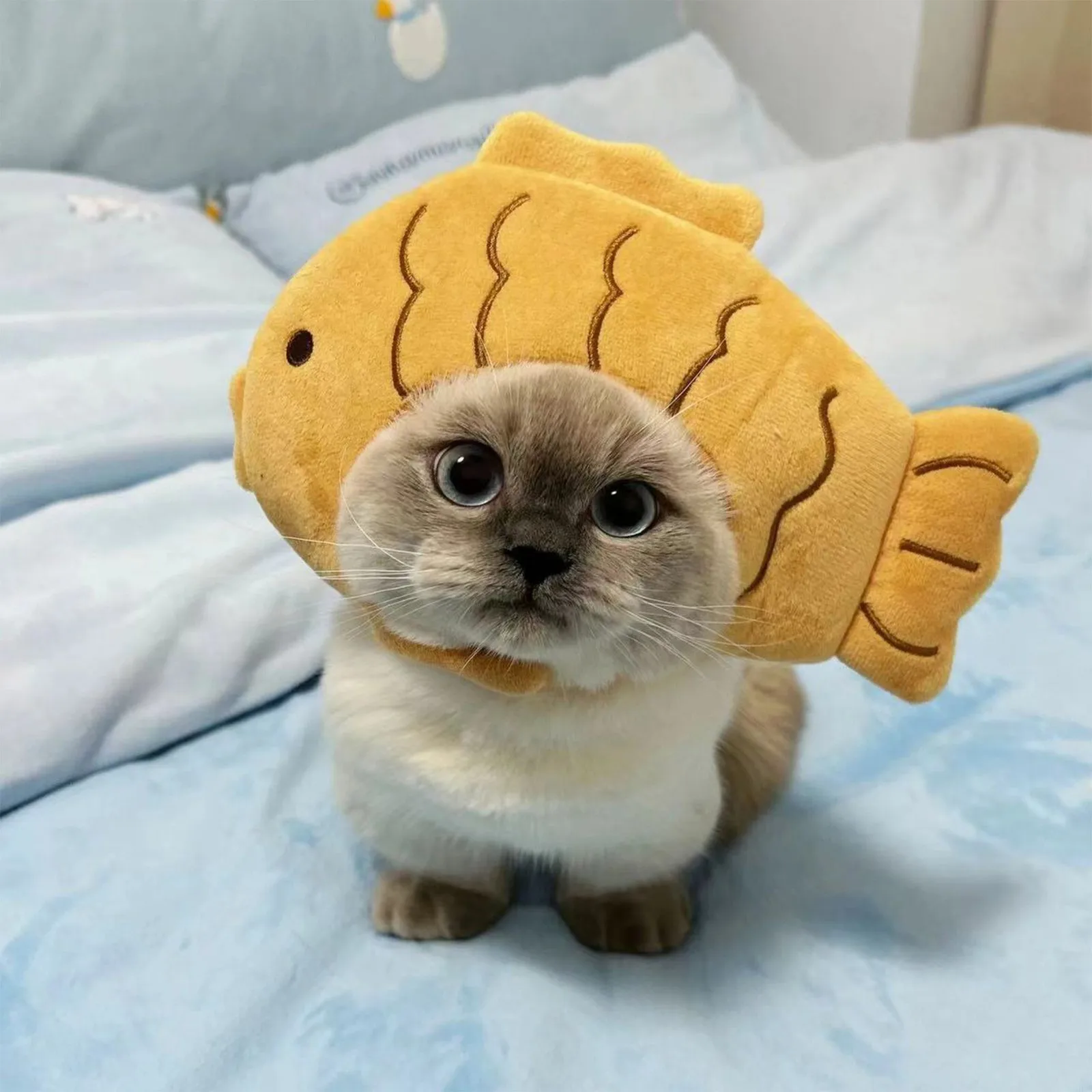 Sombrero de gato de dibujos animados, bonito disfraz de gato con forma de pez, tocado transpirable, sombrero para gato, sombrero para mascota, sombrero divertido de felpa para mascota, juguete para gato