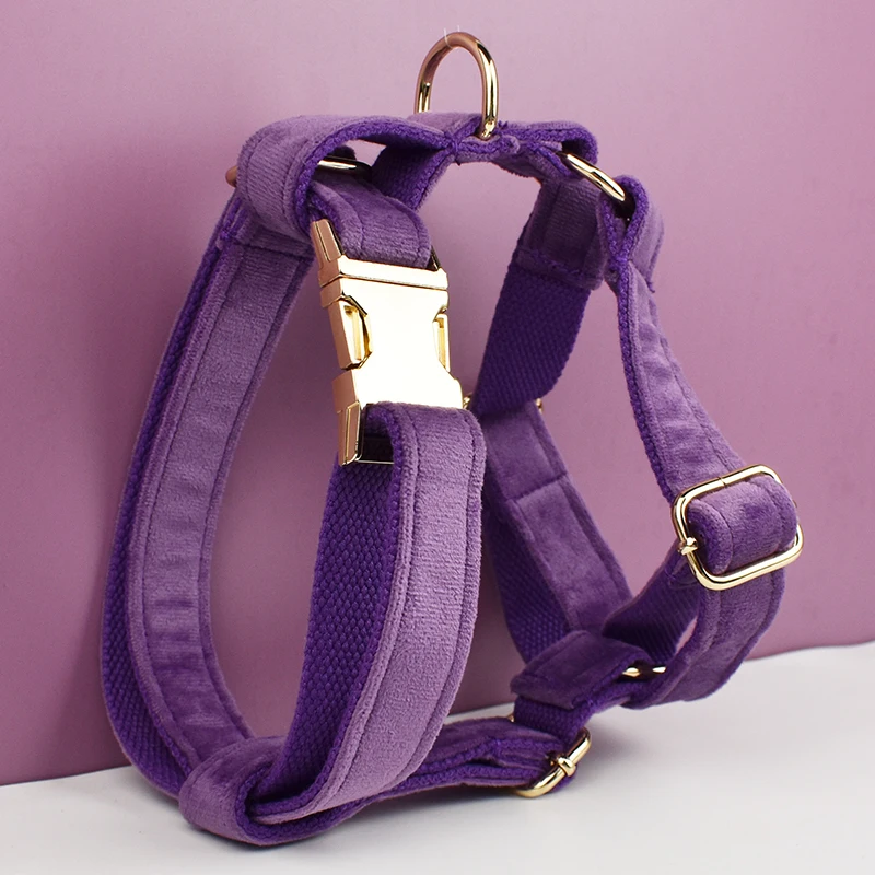 Conjunto de collar y correa de terciopelo morado para perros pequeños, medianos y grandes, placa con nombre grabada personalizada, suministros para mascotas, correa de terciopelo para perros 16