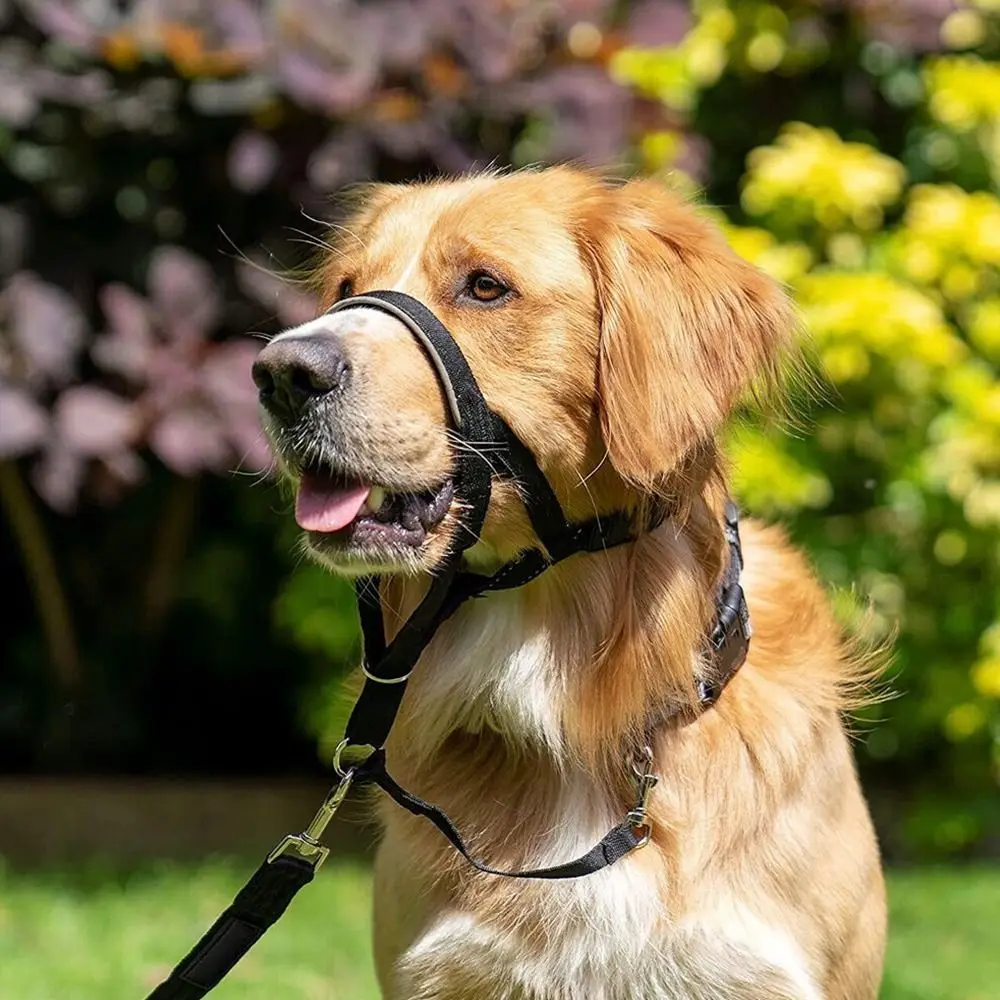 Arnés líder de nailon ajustable, antiladridos, sin tirones, Collar de cabeza de perro, cuello Halter, bozal para perro