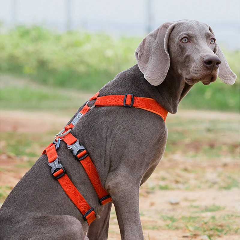 Winhyepet-arnés para perros, chaleco ajustable con correa para mascotas, Triple antiescape, accesorios para viajar y caminar para perros pequeños, Meduim y grandes