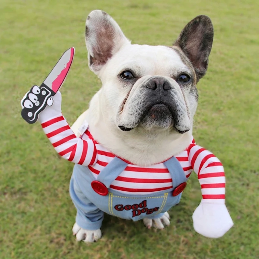 Disfraz de Halloween para Perro, Ropa Divertida para Mascotas, Disfraz Ajustable para Perro, Ropa Novedosa para Perros Medianos y Grandes, Bulldog Francés, Pug