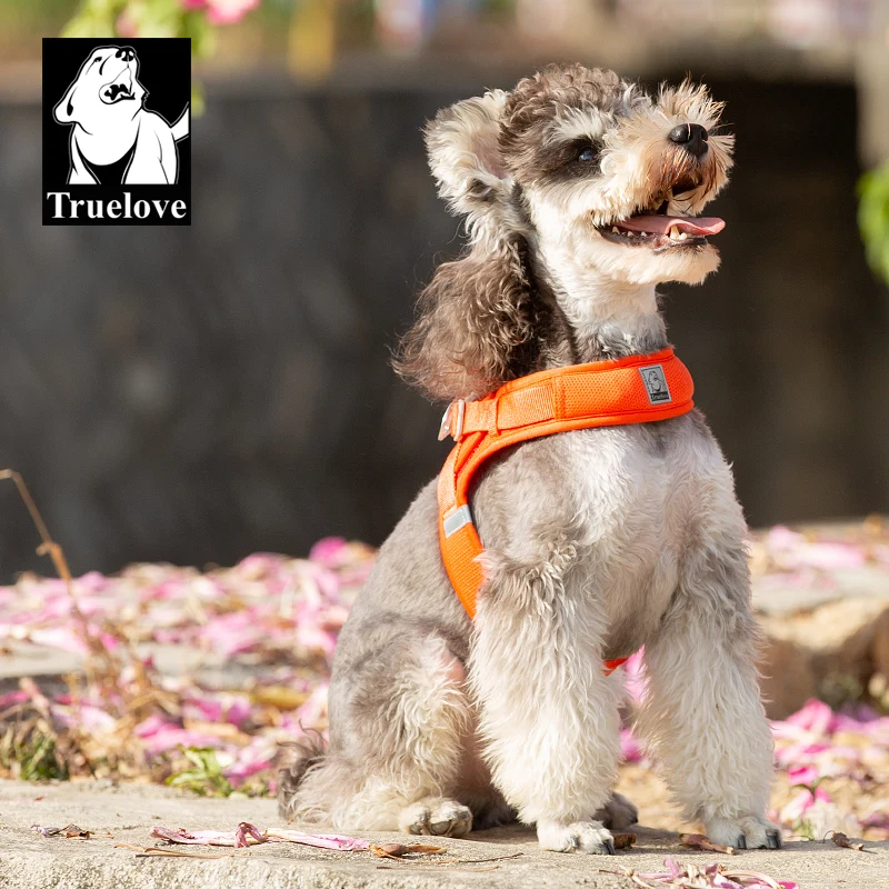 Arnés Truelove para Perros Pequeños y Medianos, Malla de Nailon Transpirable, Ajustable, Resistente, para Entrenamiento al Aire Libre, TLH3013