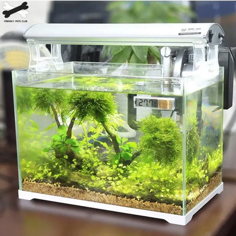 Termómetro electrónico digital para acuario, plástico, metal, 3D, medidor de temperatura para pecera, oro, plata, recién llegado