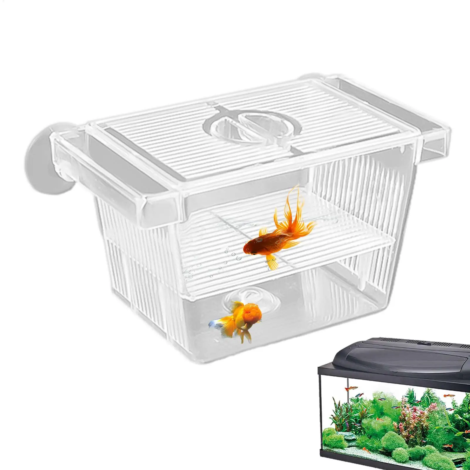 Caja de Aislamiento Acrílica para Acuario, Caja de Cría, Dispositivo de Desparasitación, Incubadora, Divisor de Pecera para Peces Pequeños y Camarones