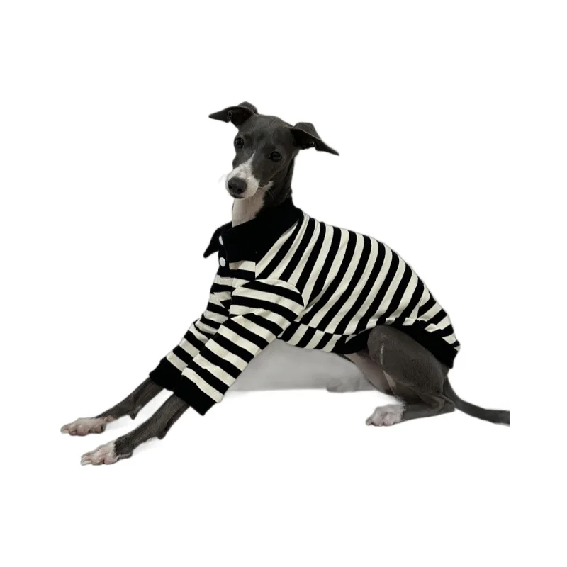 Camisa POLO de algodón puro de otoño e invierno con buena elasticidad ropa para perros galgo italiano Whippet Bedlington Terrier