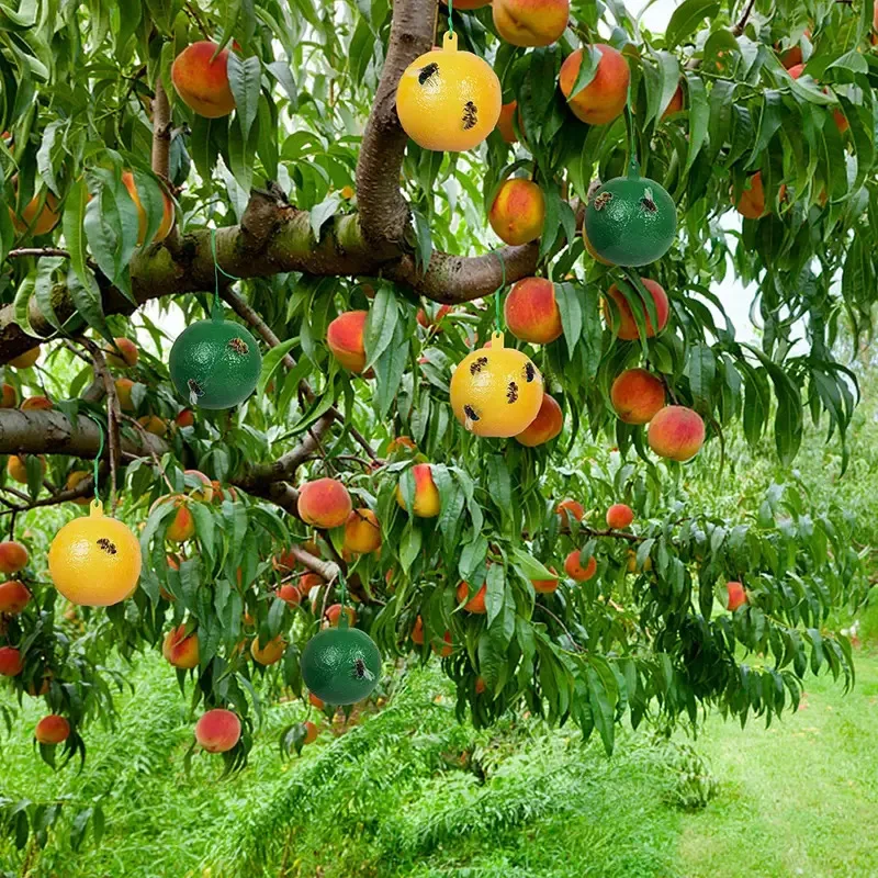1-10 Uds. Atrapamoscas asesino Control de plagas reutilizable colgante trampa para moscas trampa para moscas jaula trampas de bolas granjas jardín parques colgante Flycatcher