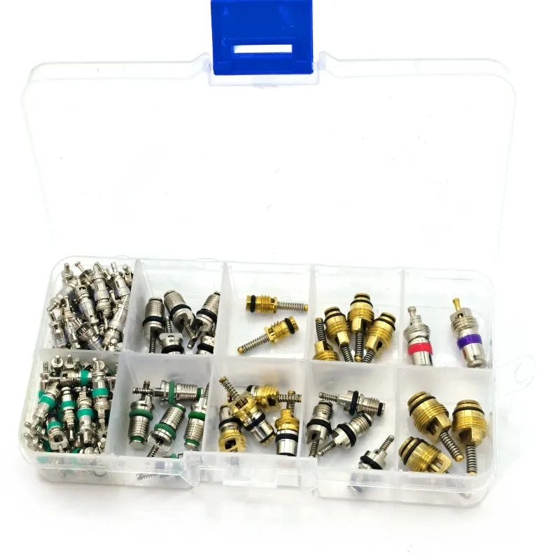 Kit surtido de aire acondicionado automotriz, válvulas de núcleo A/C para coche R134A, 100 unids/caja