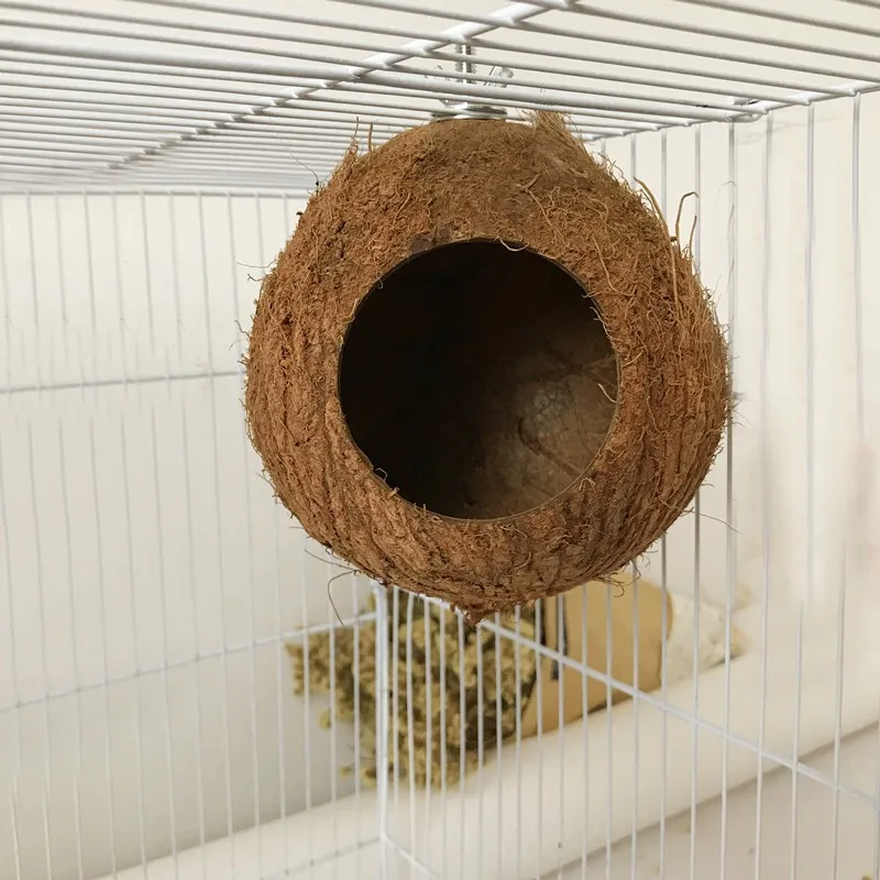 Nido de cáscara de coco para mascotas, perca Natural para loros, animales pequeños, cómodo nido de cáscara de coco, 1 ud.