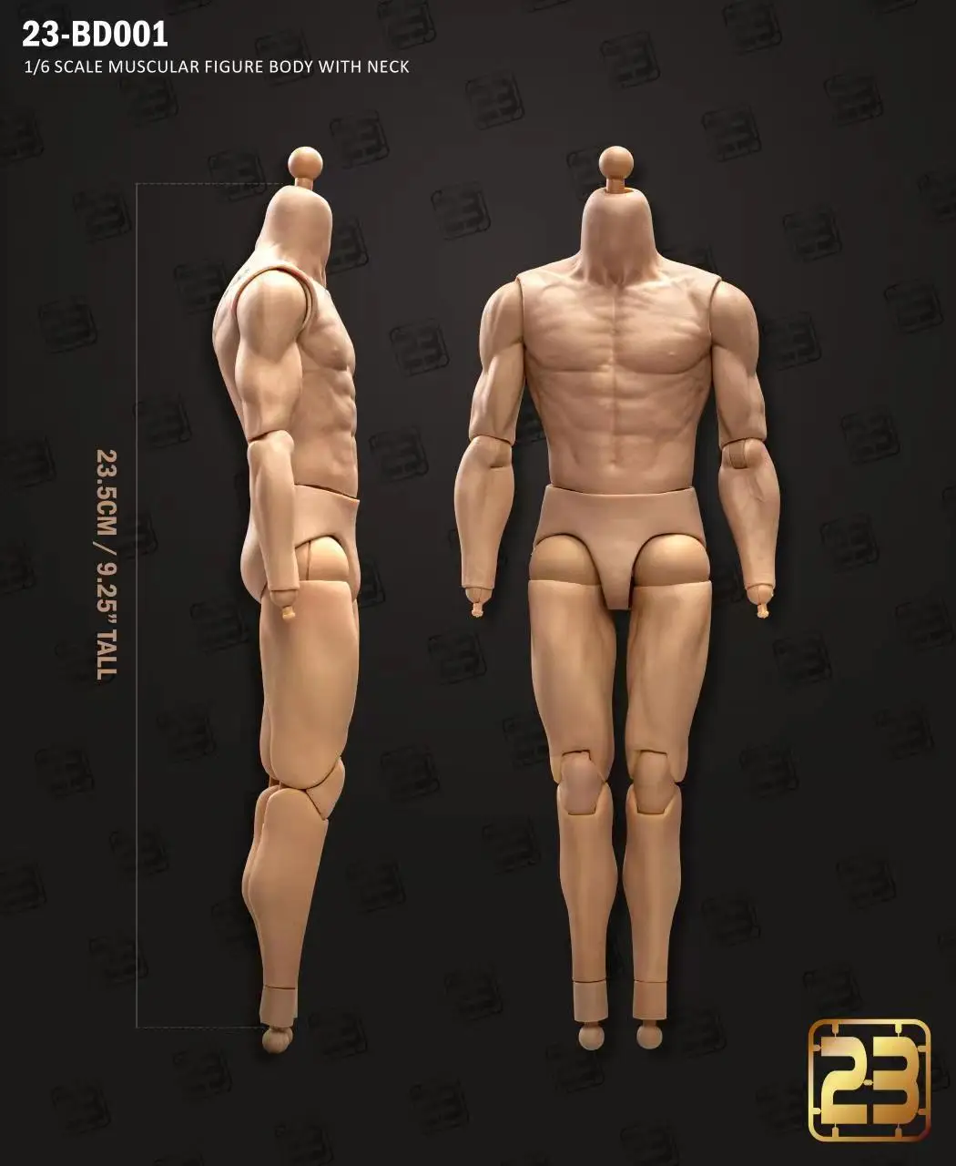 23TOYS 23-BD001 BD003 1/6 soldado masculino cuerpo articulado muscular estándar 23,5 cm - 27,5 cm figura de acción de soldado masculino cuerpo articulado