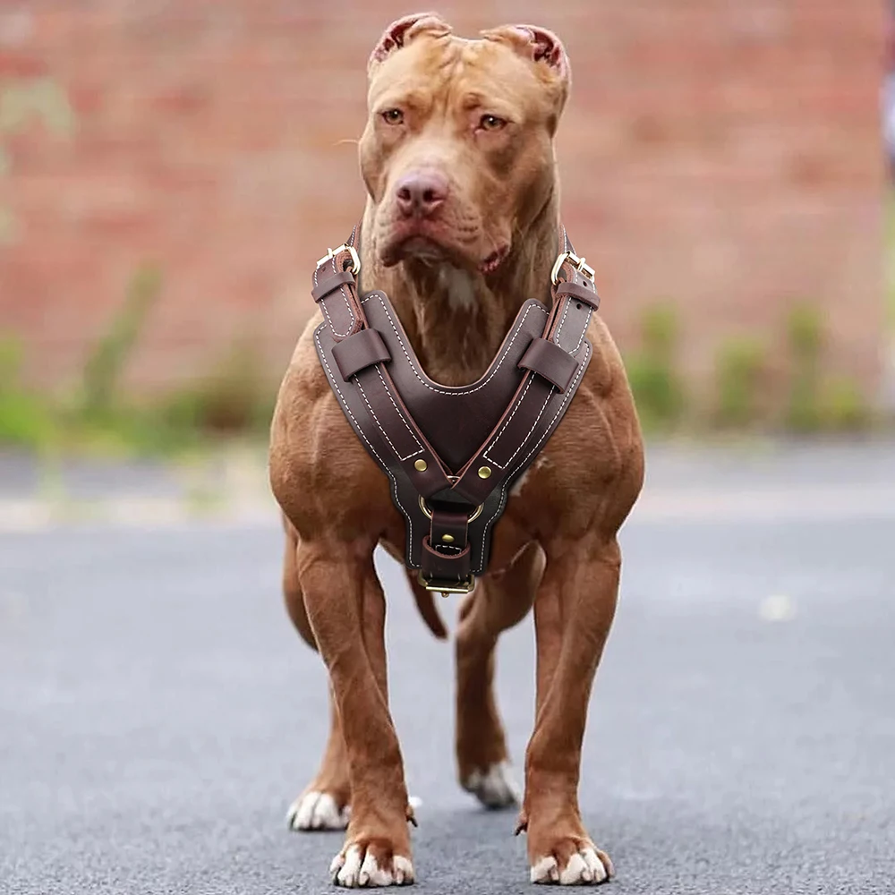 Arnés para perro grande y duradero, Chaleco de cuero genuino, ajustable, Control rápido con asa, suministros para mascotas para Labrador