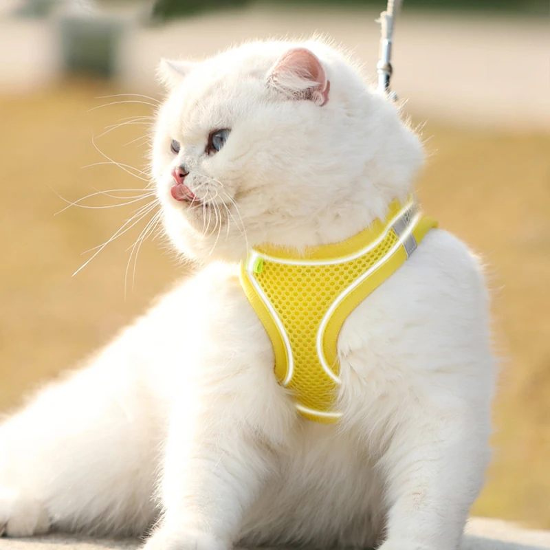 Arnés de chaleco para cachorros y gatos con correa, correas de pecho de malla transpirable para mascotas, arneses reflectantes para Chihuahua y York, correa para pasear Bulldog