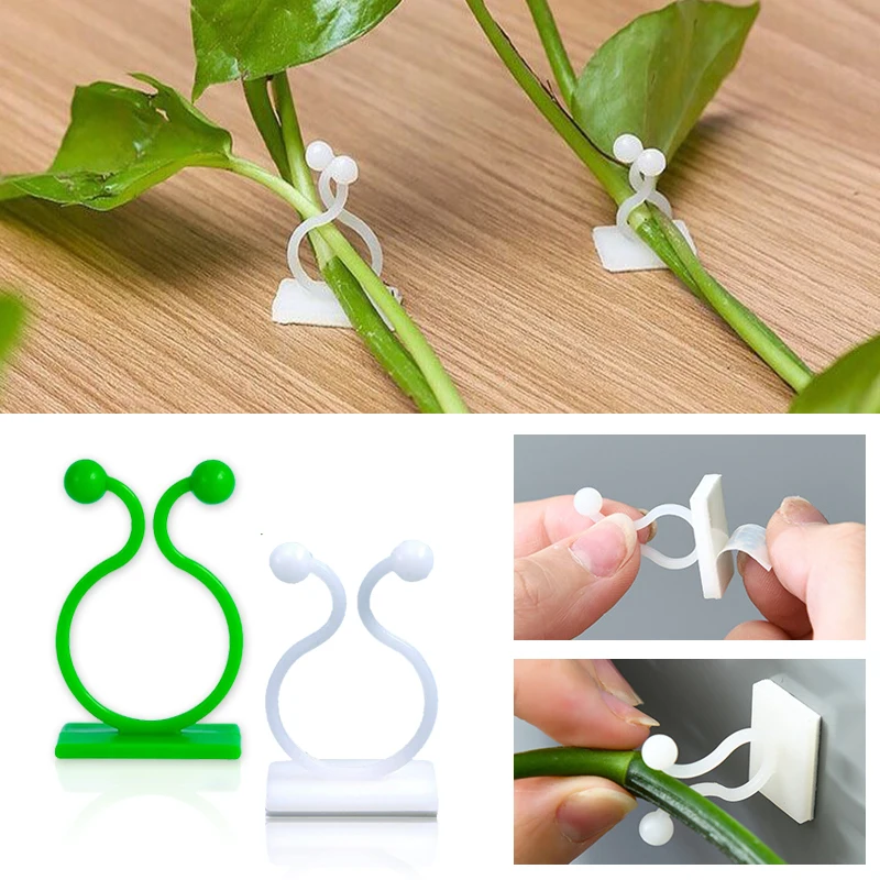 Gancho de hebilla fija autoadhesivo para pared trepadora de plantas, accesorio atado, gancho de hebilla de vid, Clips de vid trepadora para pared de plantas de jardín