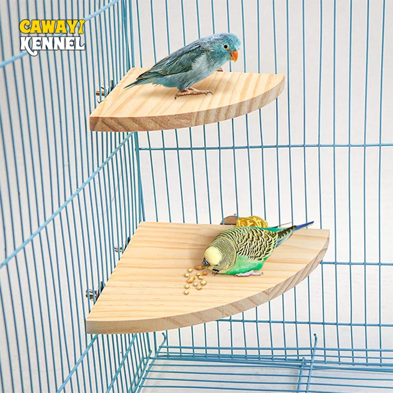 Estante de soporte de madera en forma de abanico para pájaros, percha para animales pequeños, Chinchilla, ardilla, hámster, accesorios para jaula