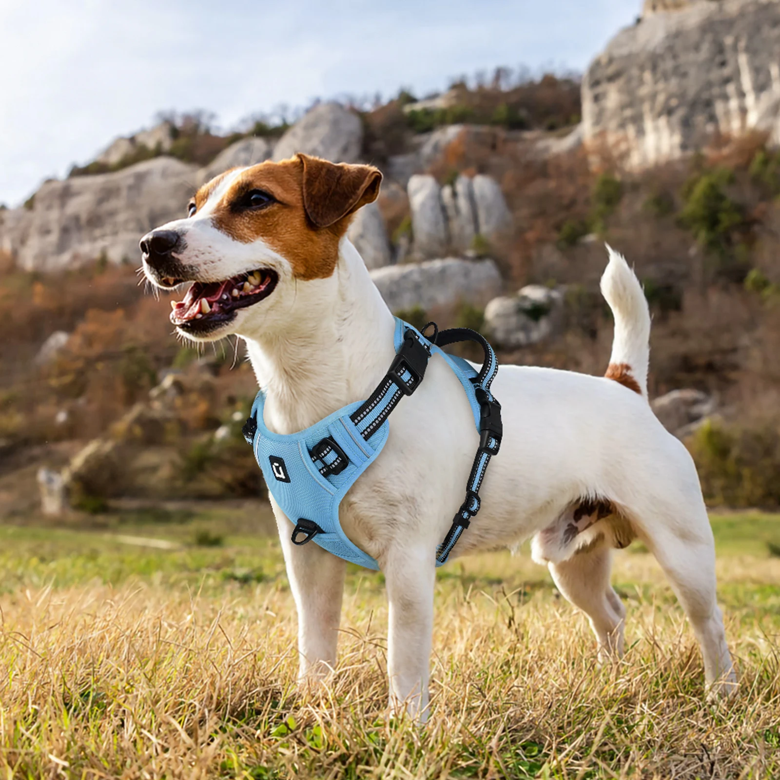 Combo de arnés y correa para perros, arnés de chaleco sin tracción a prueba de escape, con correa de 5 pies, arnés acolchado suave ajustable reflectante para mascotas
