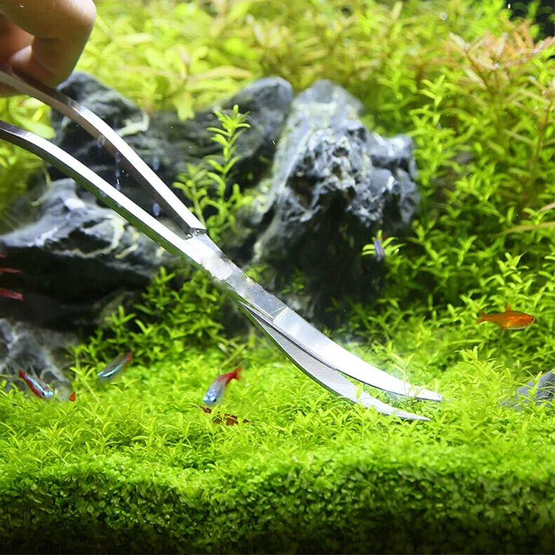 Juego de herramientas para acuario, pinzas de tijera, tijeras onduladas para plantas, herramientas de limpieza de hierba inoxidable, palas para pecera, accesorios para acuario