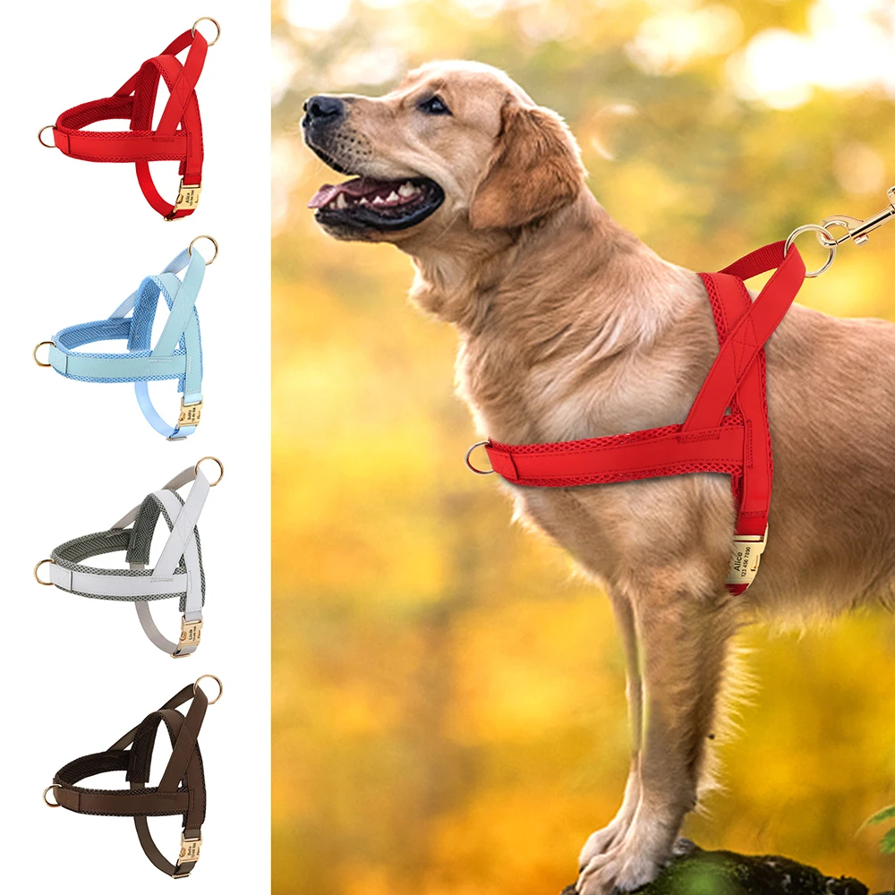 Arnés de perro personalizado sin tirones, chaleco de cuero para perro, arnés acolchado de malla suave para perros pequeños, medianos y grandes, Bulldog Francés